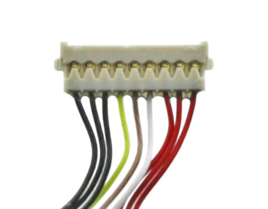 Miniatura 2