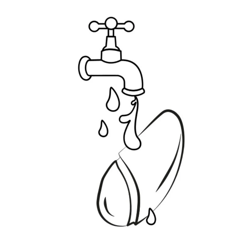 Imagen del producto 11