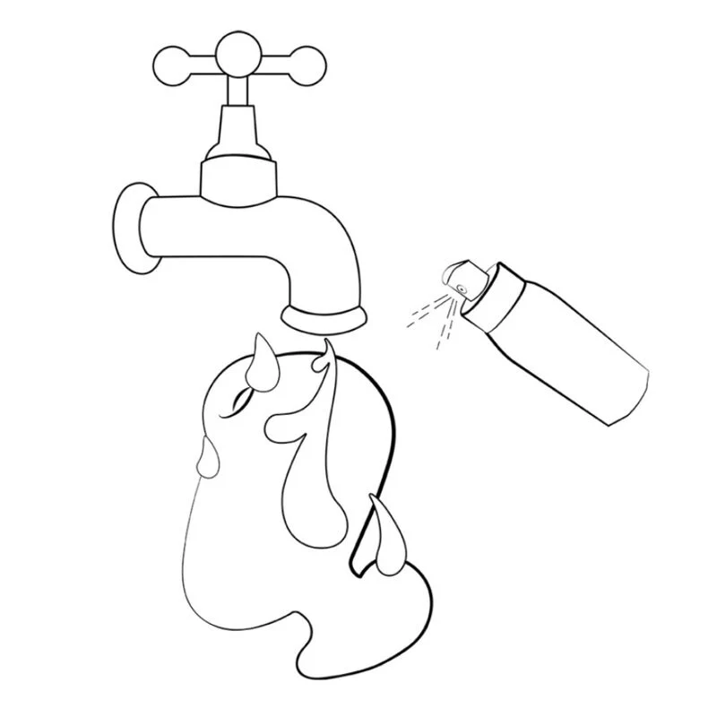 Imagen del producto 11