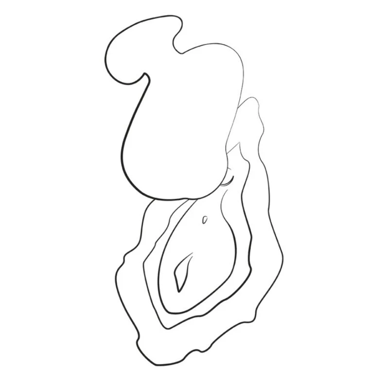 Imagen del producto 12
