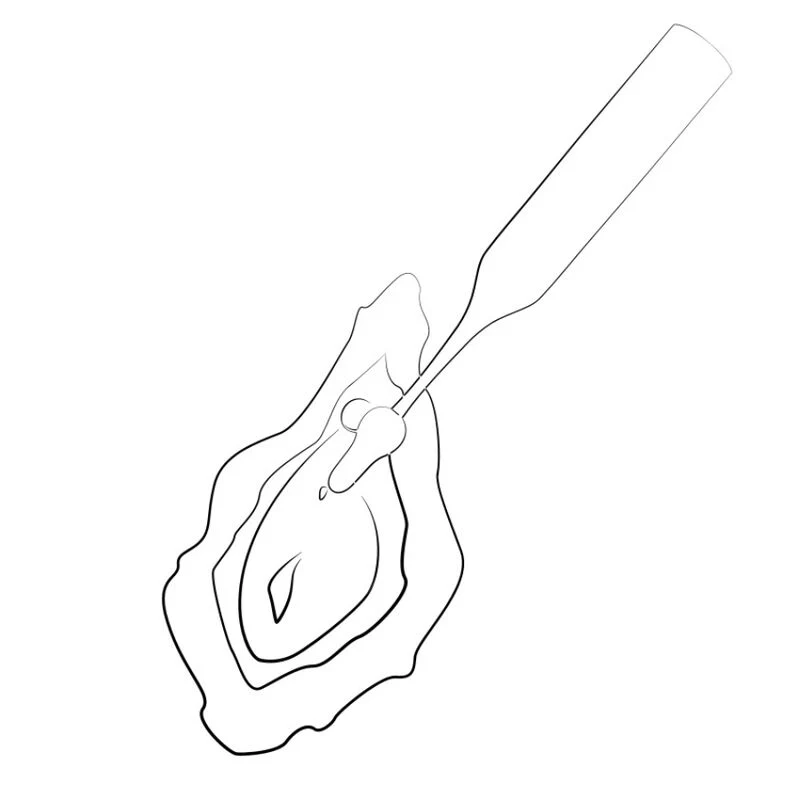 Imagen del producto 11