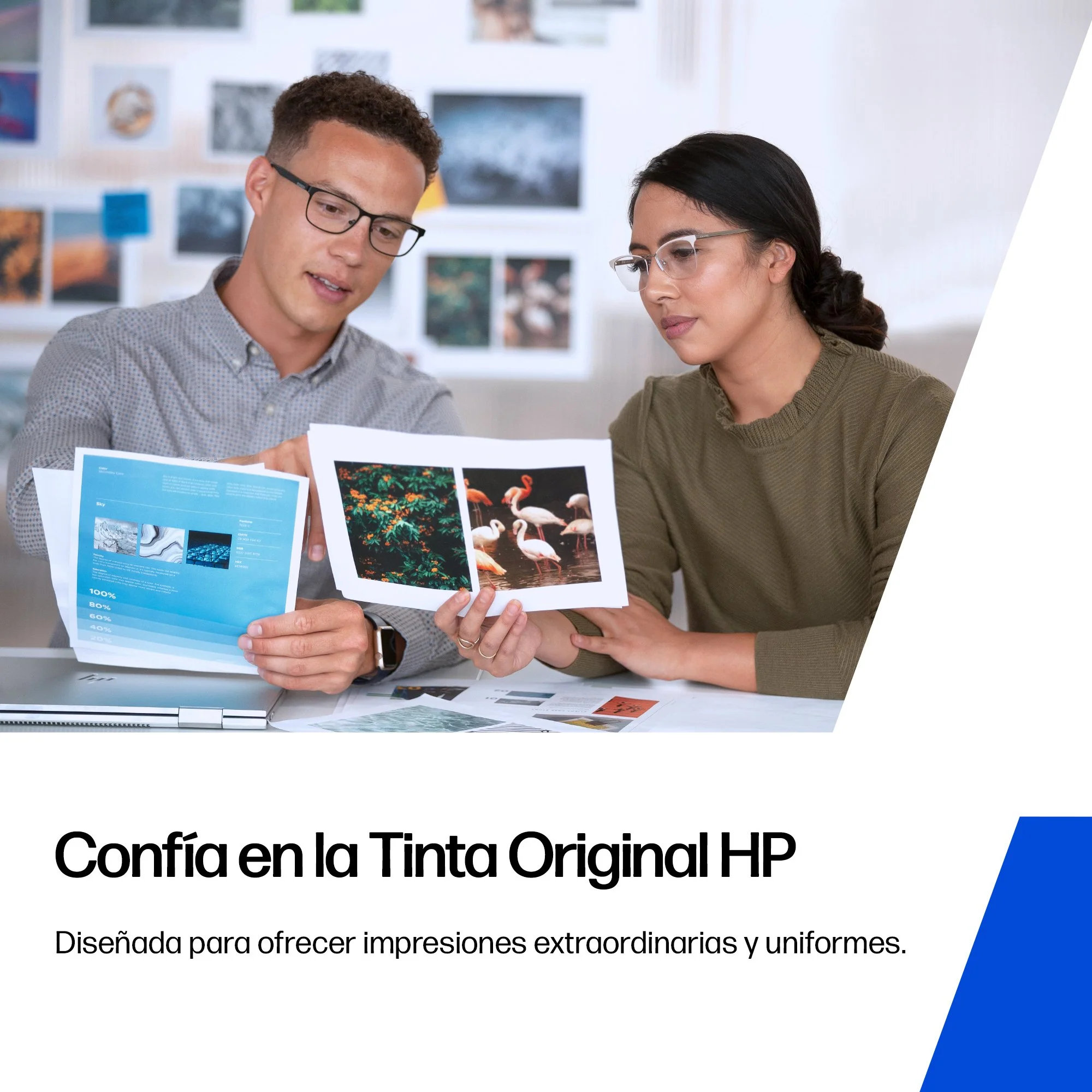 Imagen del producto 10