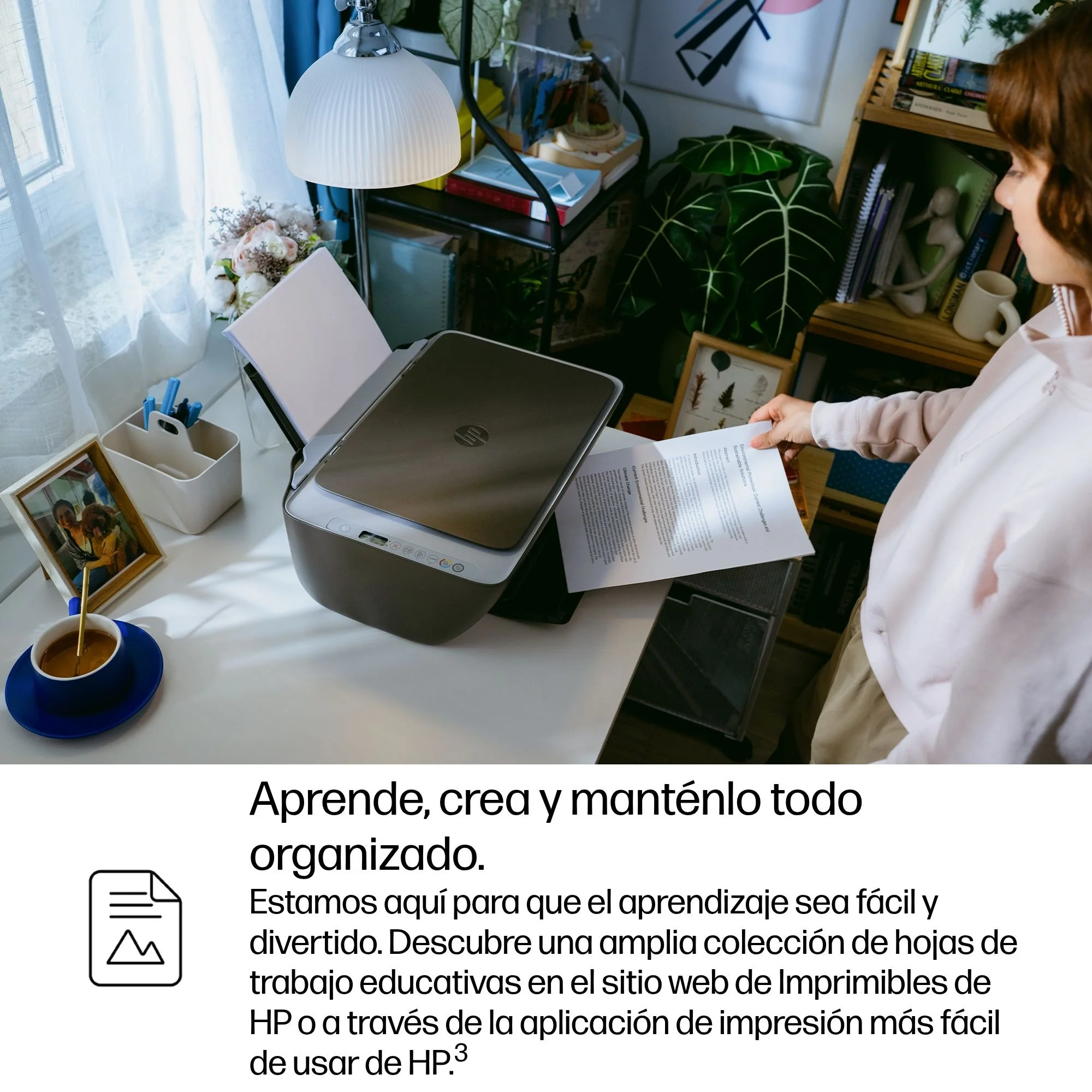 Imagen del producto 10